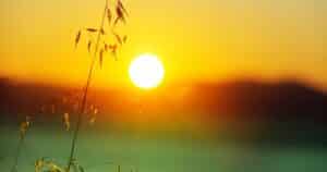 meaningful social media