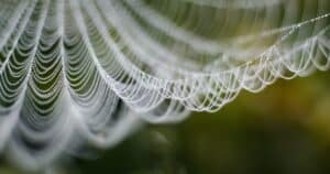 link building strategy