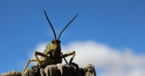 True Cost of Website Mistakes